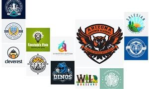 Fighting Logo Contest 99designs