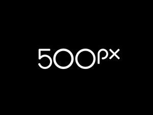 Reviews for 99designs